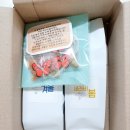 세라비픽 이미지