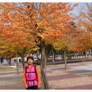 감천시장 이미지