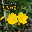 달이떠올라 | 여름 그림책 추천｜백희나 『달 샤베트』, 달이 녹으면 샤베트가 될까?