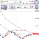 엑스톤 글로벌