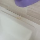 진천우방 | 화성 욕실 욕조 곰팡이 물 때 낀 실리콘 교체