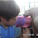 자영목장 이미지