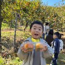 비룡농장 이미지