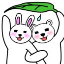 깐돌이네 애견미용호텔 이미지