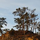 하유방파제 이미지