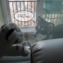 백호게임장 이미지