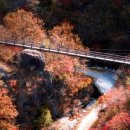 대전면사무소 이미지