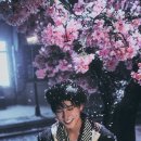 스쿨시티 이미지