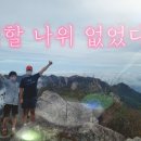 차돌체육관(태권도) 이미지