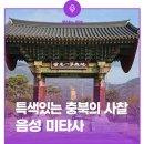 특색있는 충북의 사찰, 음성 미타사