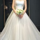 블랑코 | 블랑코노비아 촬영 가봉 후기! 실크파 예신의 드투 생략 및 지정 셀렉 (feat. 펠리스노비아)