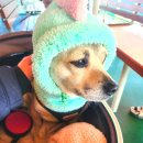 대송펜션 | 욕지 대송펜션에서 가족과의 소중한 시간을 얻은 후기