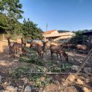 충청농산 이미지