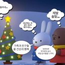 홀리몰리 이미지