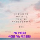 에코힐링