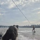 웨이크로 | 서울 수상레저, 강남 한복판에서 즐기는 짜릿한 웨이크보드 후기,리버시티수상스키