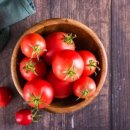 토마토2 이미지