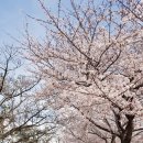 강정동-28 이미지