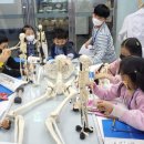 동물식물 생태체험교실 이미지