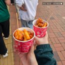와니닭강정 - 용인시 처인구 | 와니닭강정