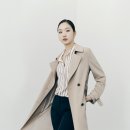 마인드브릿지 카카오 검색결과
