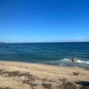 롱비치275 이미지