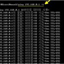 ﻿네트워크 상태 점검의 기초 (ping 명령어 펌) 이미지
