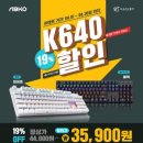 스테디