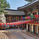금선사 - 종로구 | 금선사