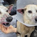 송정동물의료센터 이미지