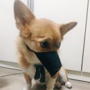 놀자 이미지