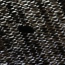 솔향기어린이집 이미지