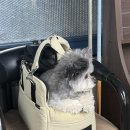 또와 당구장 이미지