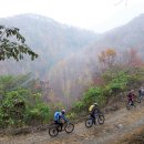 수산리-18 Daum카페