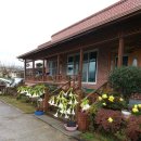 들꽃향기민박 이미지