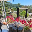 품속 | 🌿 하동카페 하동행궁 카페 후기 지리산 품속에 숨어있는 작은 궁