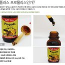 웰플러스 이미지