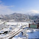 조선대학교 이미지