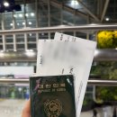 (주)리치마트상산점 | 어웨이큰호텔, 미케비치, FA lounge, 빌라드스파, 롯데마트, 브라운페퍼다낭, 용다리, EastWest Brewing)