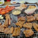 구이박사