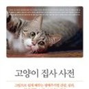 고양이집사 이미지