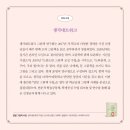 비비네트워크 이미지