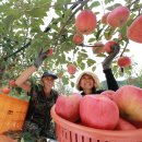 삼애농원 이미지