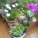 테라스풍경 이미지