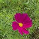 국립산림과학원 가는길. 이미지