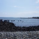 신례2리(공천포) 1 이미지