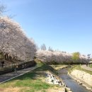 우화등선 이미지