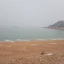 여수준호네생선