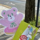 지지고/구미역점 | 일상 포토덤프 5 - 소중한 사람들과 함께한 일주일