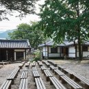 동진천길 | 🏞️ 괴산 갈만한 곳 BEST — 자연 속 여유와 맛이 함께하는 충북 감성 여행